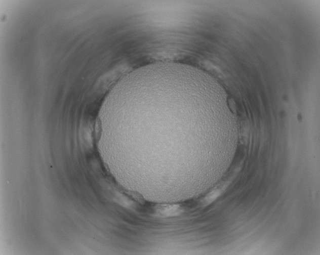 X0000072990334200608111813