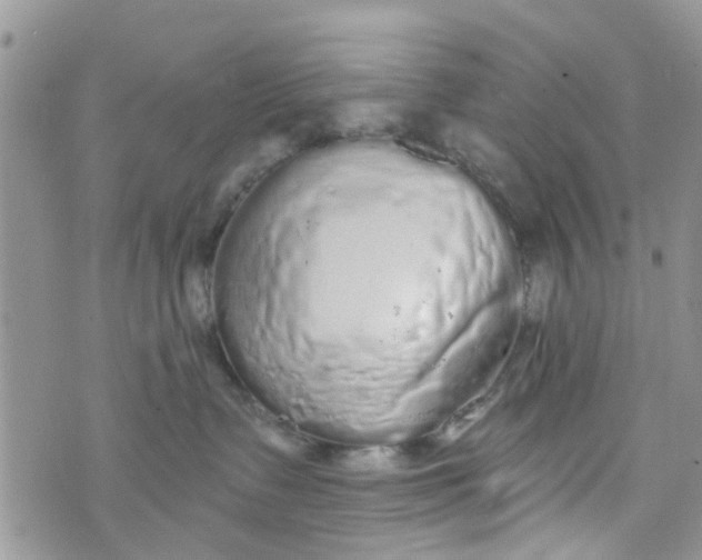 X0000072990335200608111813