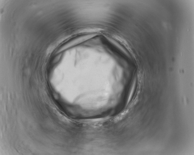 X0000072990337200608111812