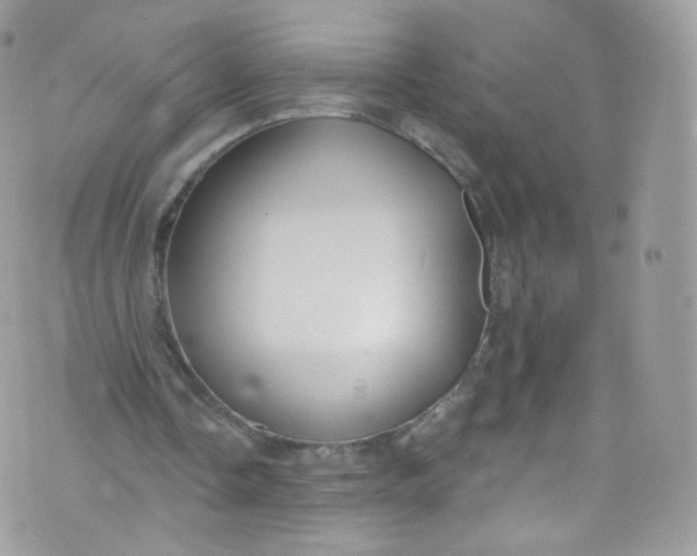 X0000072990338200608111812