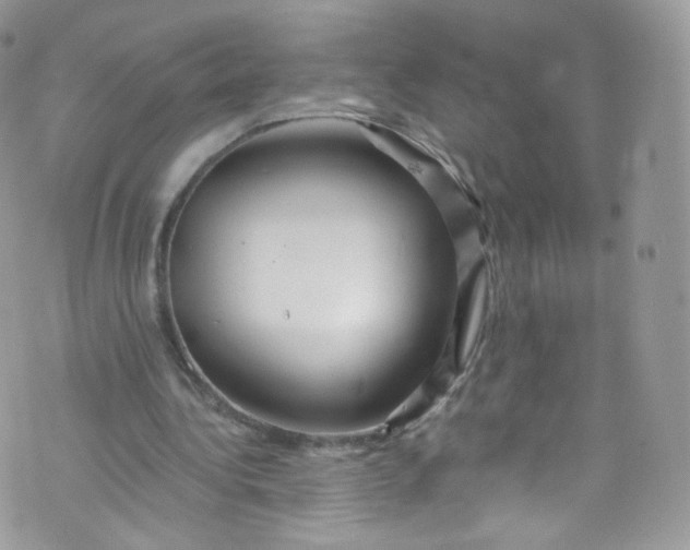 X0000072990340200608111812