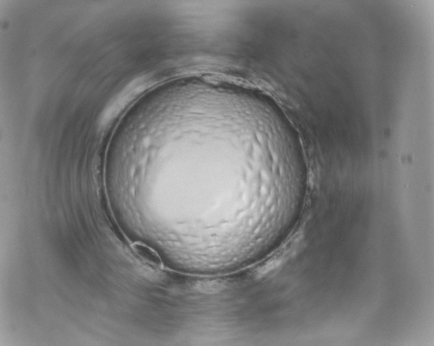 X0000072990341200608111812