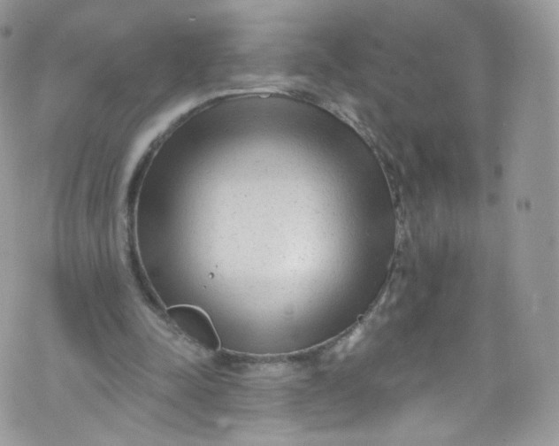 X0000072990342200608111812