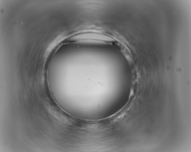 X0000072990344200608111812