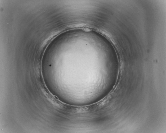 X0000072990345200608111812