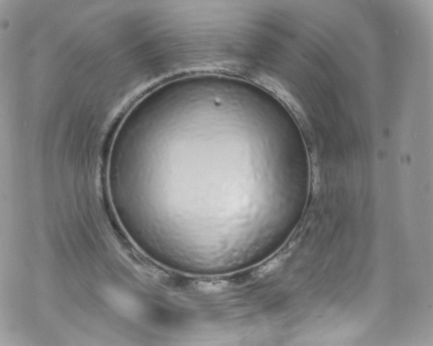 X0000072990346200608111812