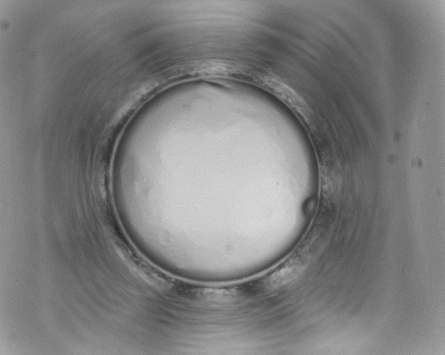 X0000072990347200608111812