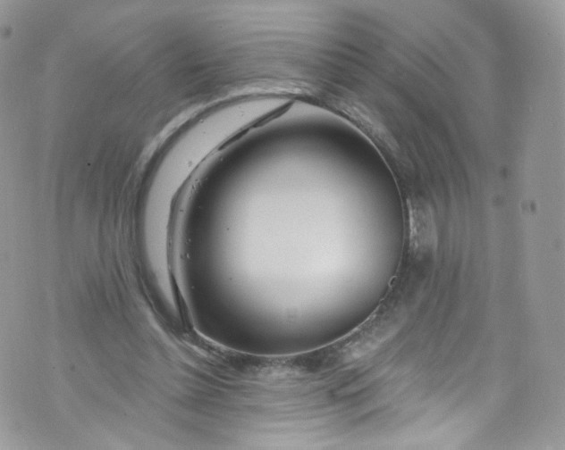 X0000072990348200608111812