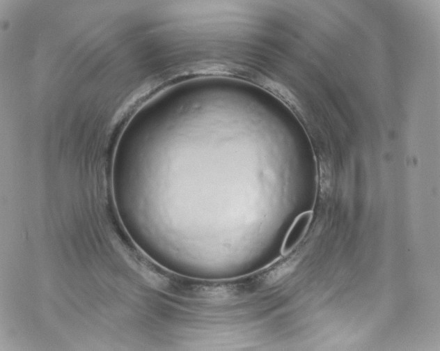 X0000072990349200608111812