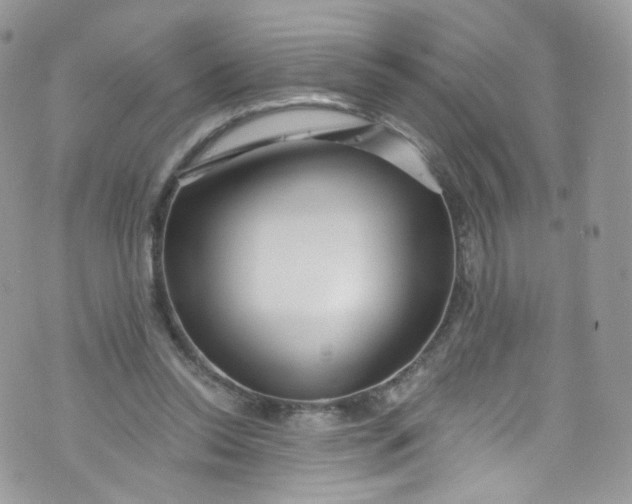 X0000072990350200608111812