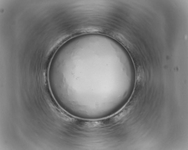 X0000072990351200608111813