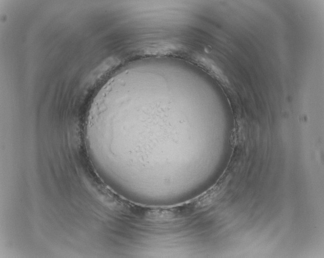 X0000072990354200608111813