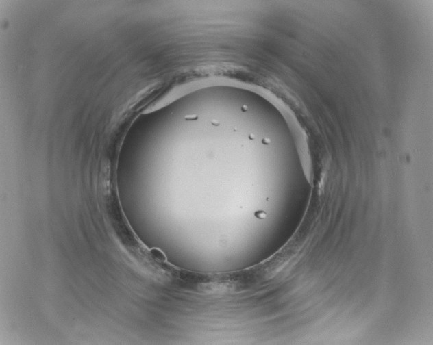 X0000072990356200608111813