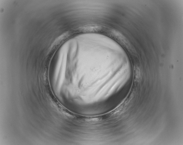 X0000072990357200608111813