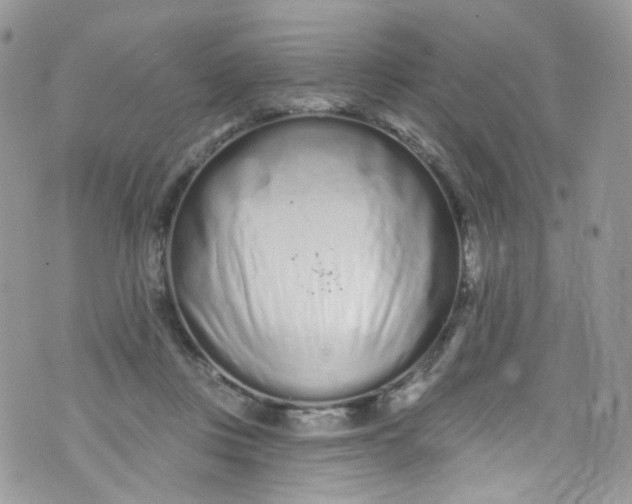 X0000072990359200608111813