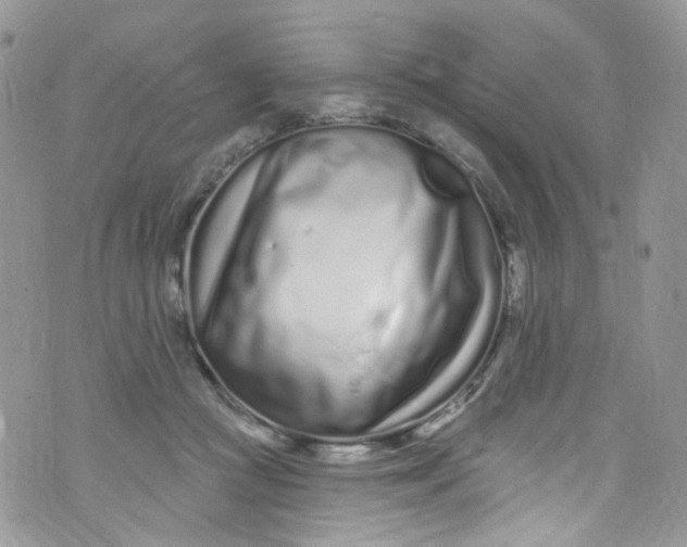 X0000072990361200608111813