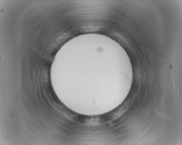 X0000072990362200608111813