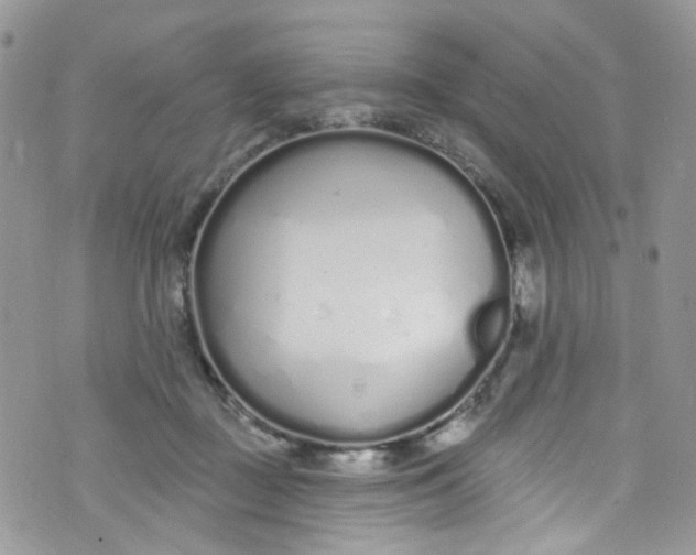 X0000072990363200608111813