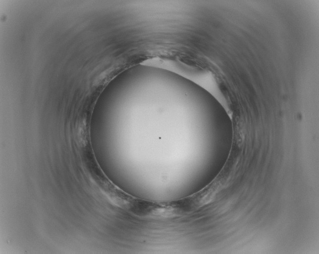 X0000072990364200608111813