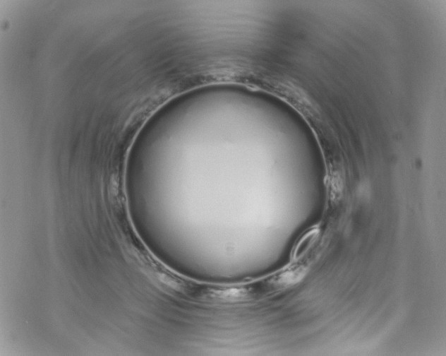 X0000072990365200608111813