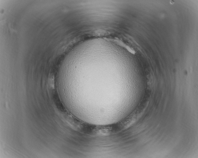 X0000072990368200608111813