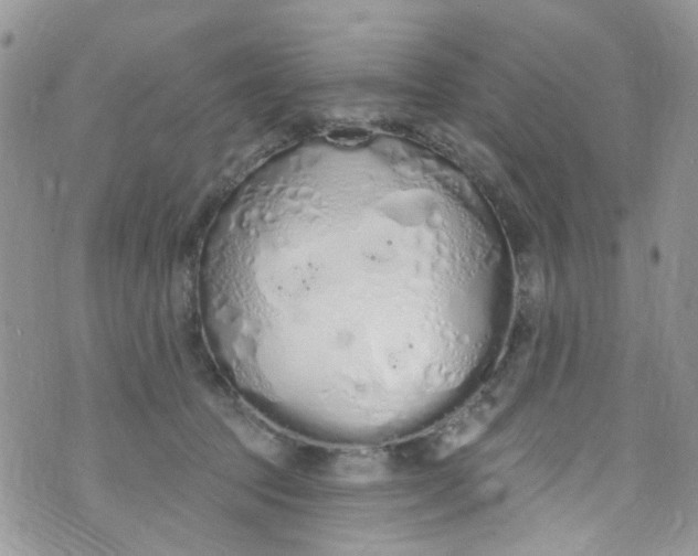 X0000072990369200608111813