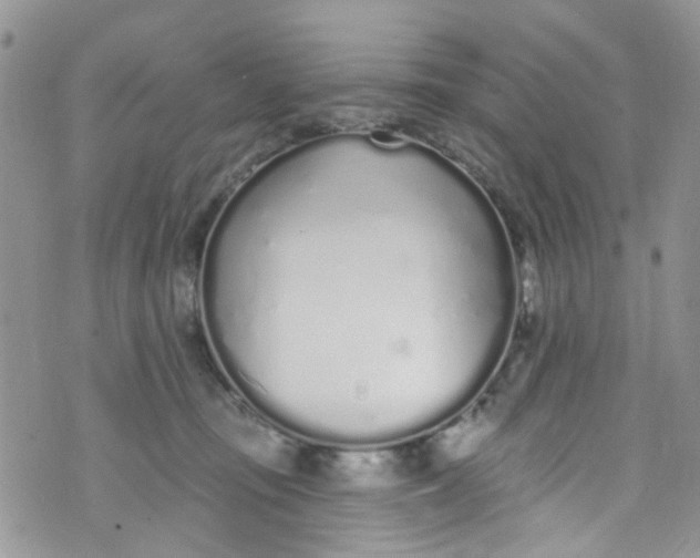 X0000072990371200608111813