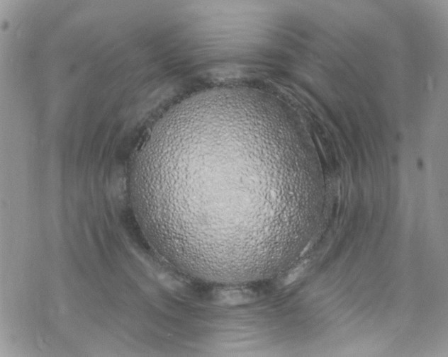 X0000072990372200608111813