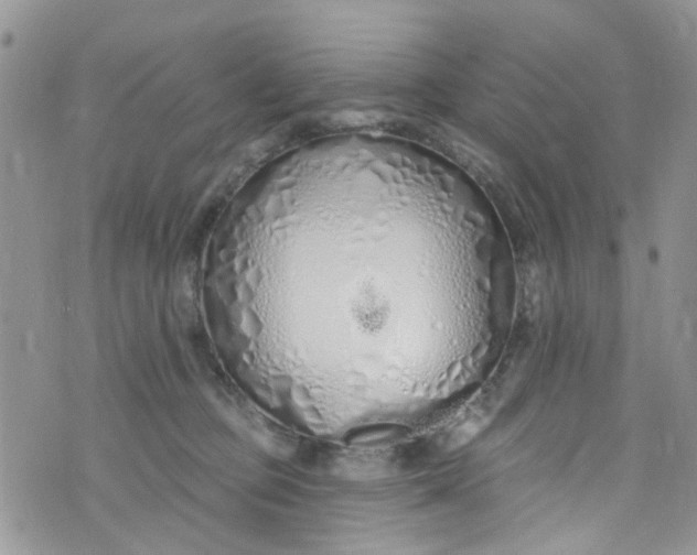 X0000072990373200608111813