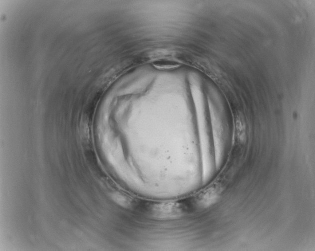 X0000072990375200608111813