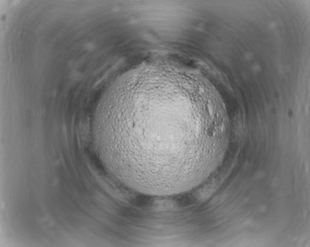 X0000072990376200608111813