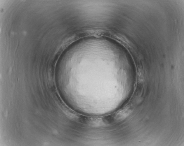 X0000072990377200608111813