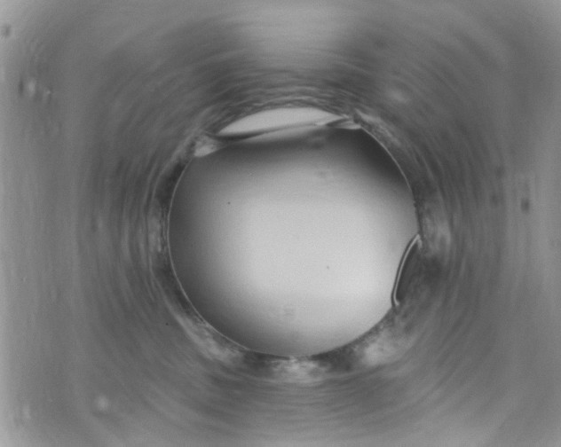 X0000072990379200608111813