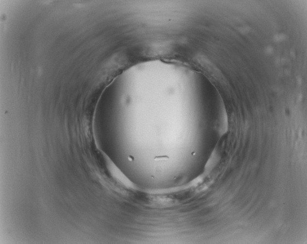 X0000072990380200608111813