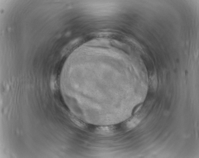 X0000072990381200608111813