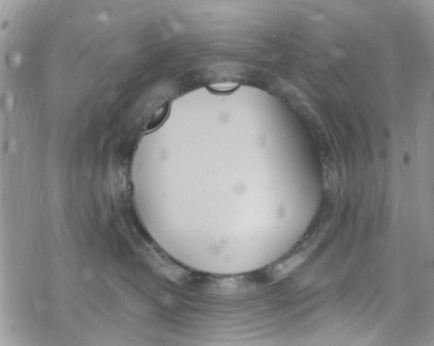 X0000072990382200608111813