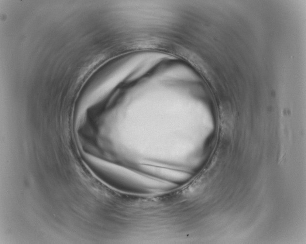 X0000072990386200608111812