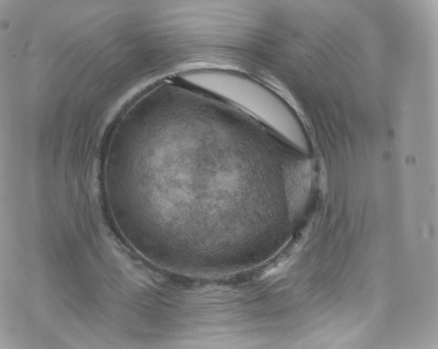 X0000072990387200608111812