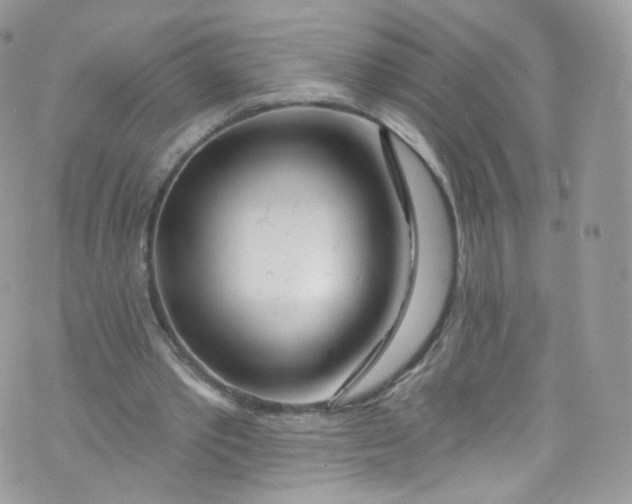 X0000072990389200608111812