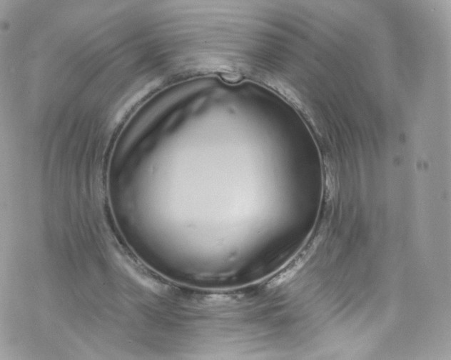 X0000072990390200608111812