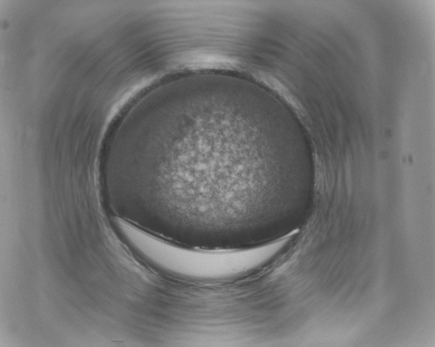 X0000072990391200608111812