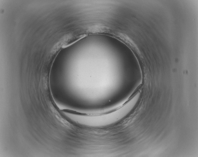 X0000072990393200608111812