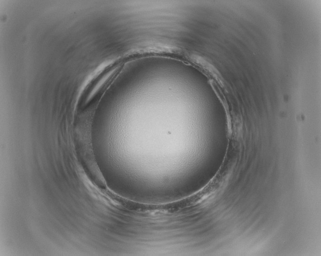 X0000072990395200608111812