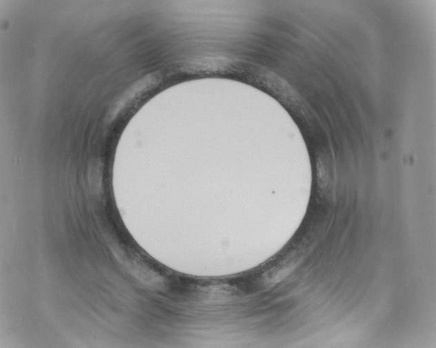 X0000072990396200608111812