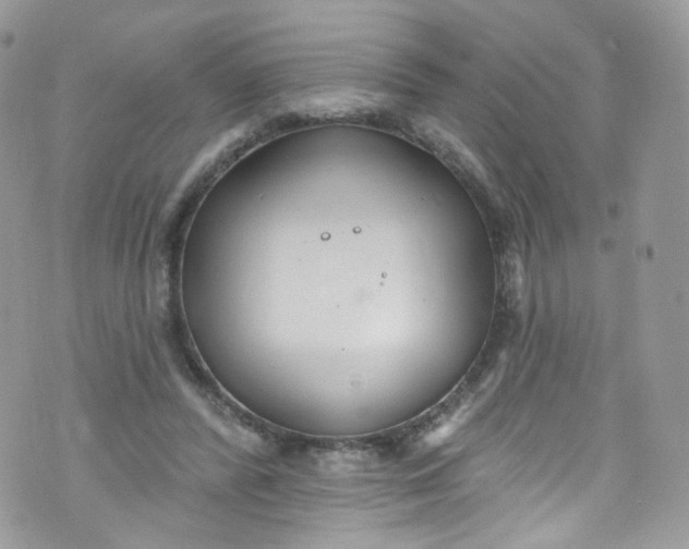 X0000072990400200608111812