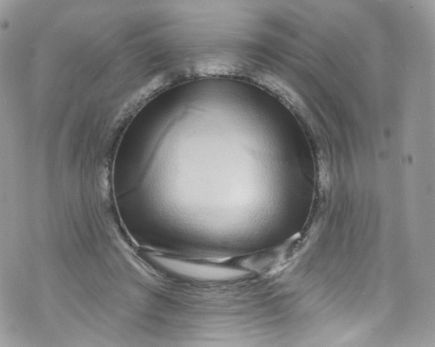 X0000072990401200608111812