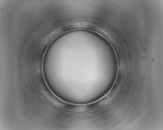 X0000072990402200608111812