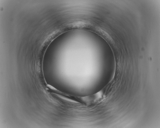 X0000072990403200608111812