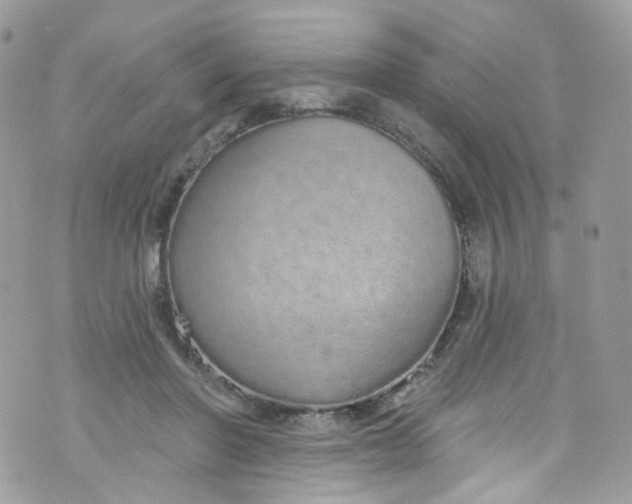 X0000072990406200608111812