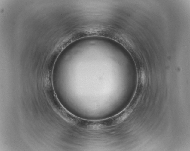 X0000072990408200608111812